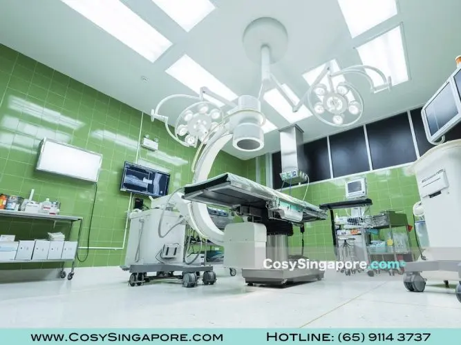 Singapore Healthcare.004
