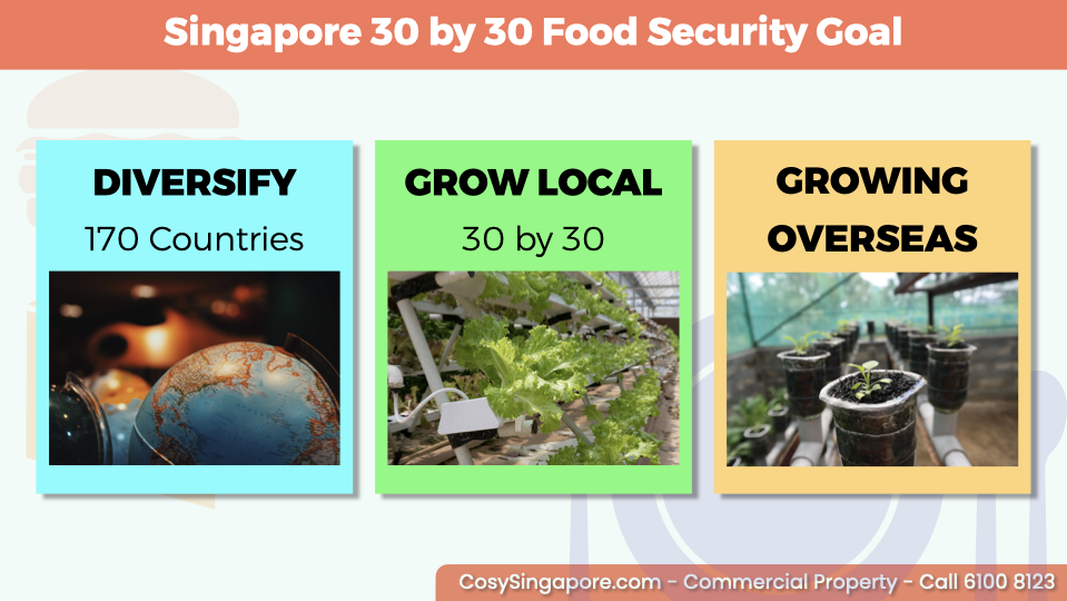 Singapore-30-by-30-food-security