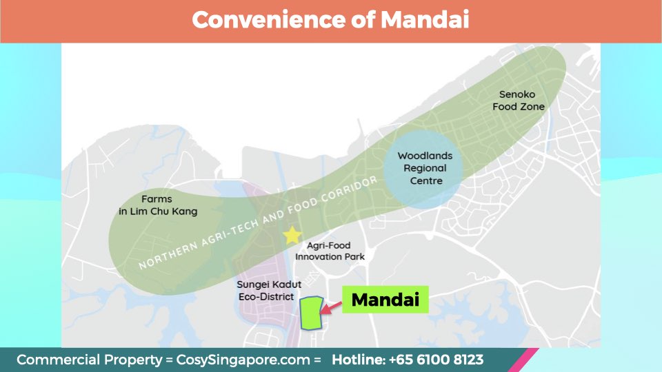 Convenience-of-mandai