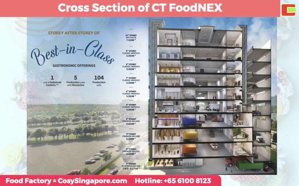 ct-foodnex-cross-section-cosysingapore